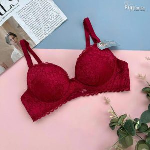 Áo lót ren sister hood 9110