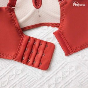 Áo lót ren cao cấp không gọng A158