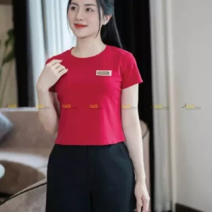 Ao phong ngan AP95 hot trend 2025